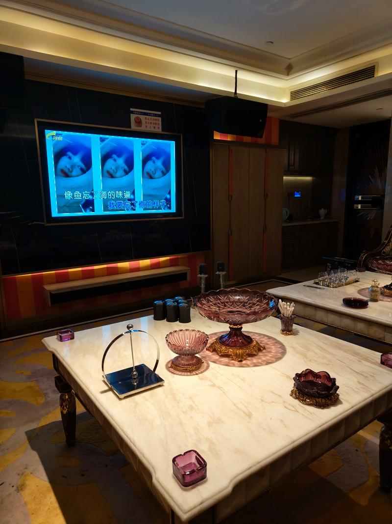 衡水商务ktv解释-枣强县ktv预订